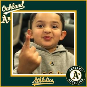 Meet your Posher, Frank